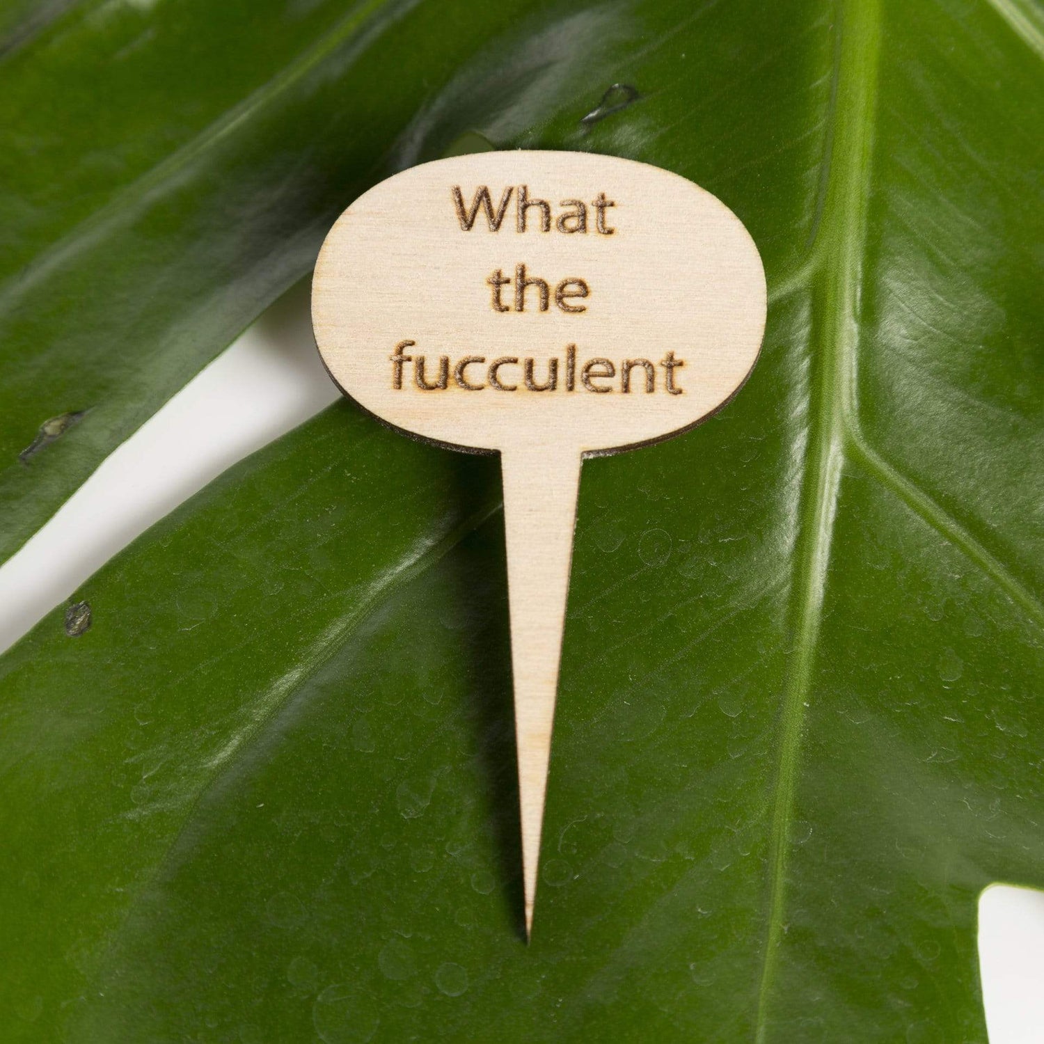 Mini Wood Sign - What the Fucculent - Urban Sprouts