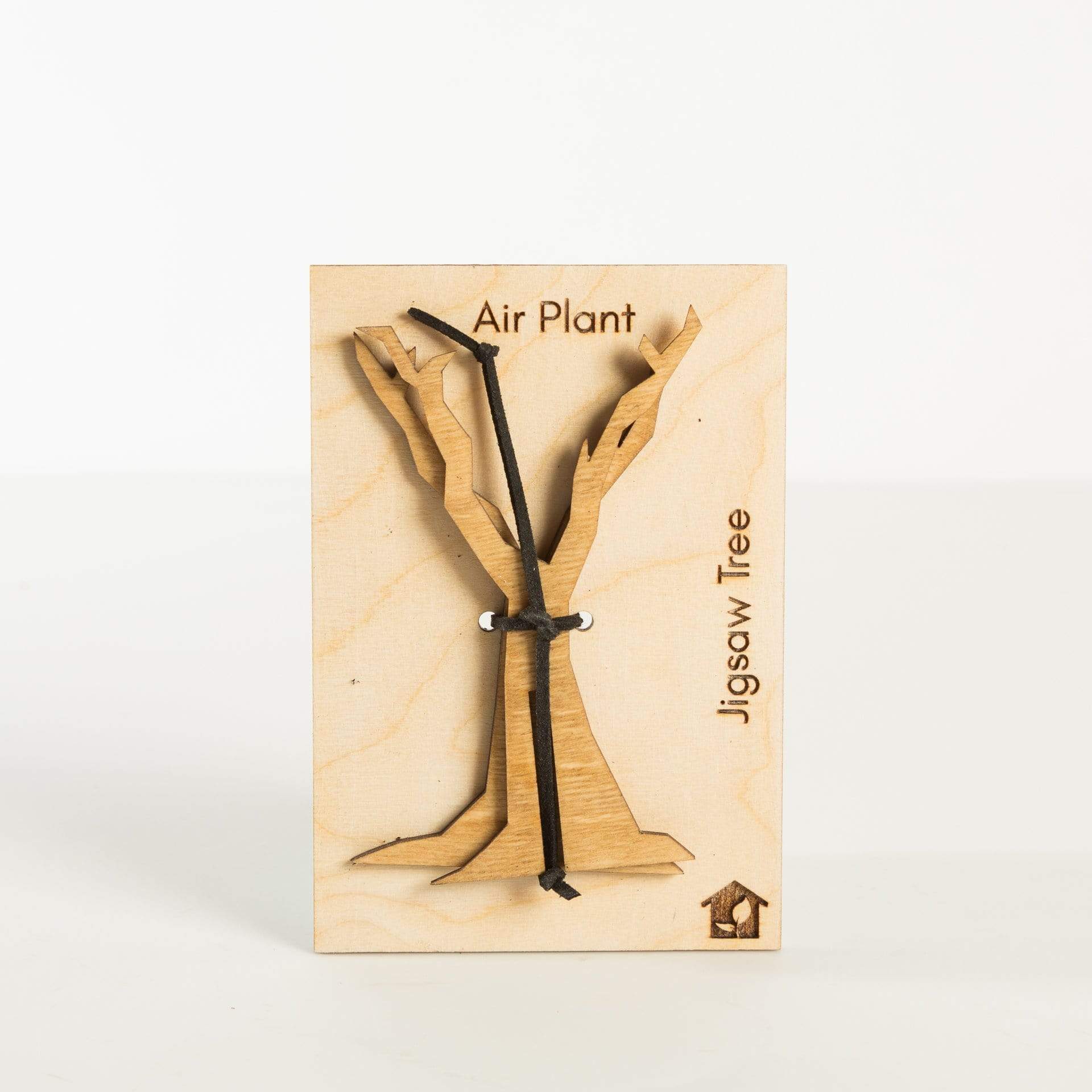 Urban Sprouts Production Pot Medium - Single Air Plant Jigsaw Tree Display