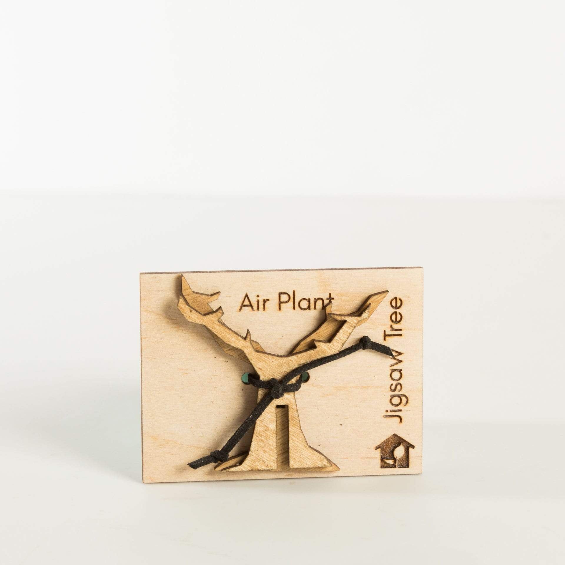 Urban Sprouts Production Pot Small - Single Air Plant Jigsaw Tree Display