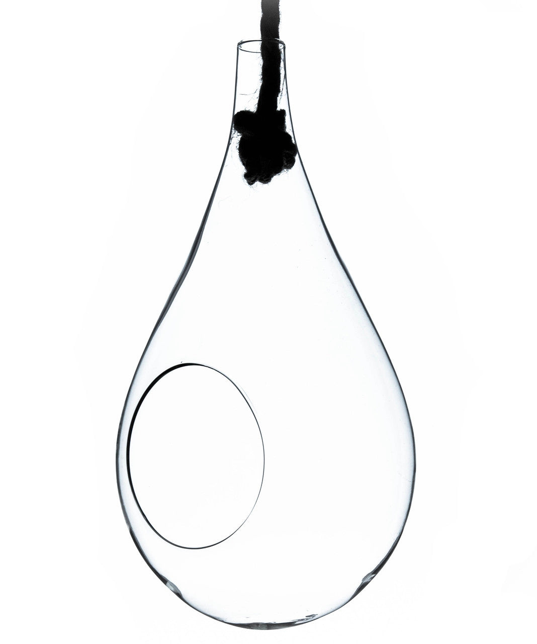 Rope Teardrop Hanging Terrarium Glassware - Urban Sprouts