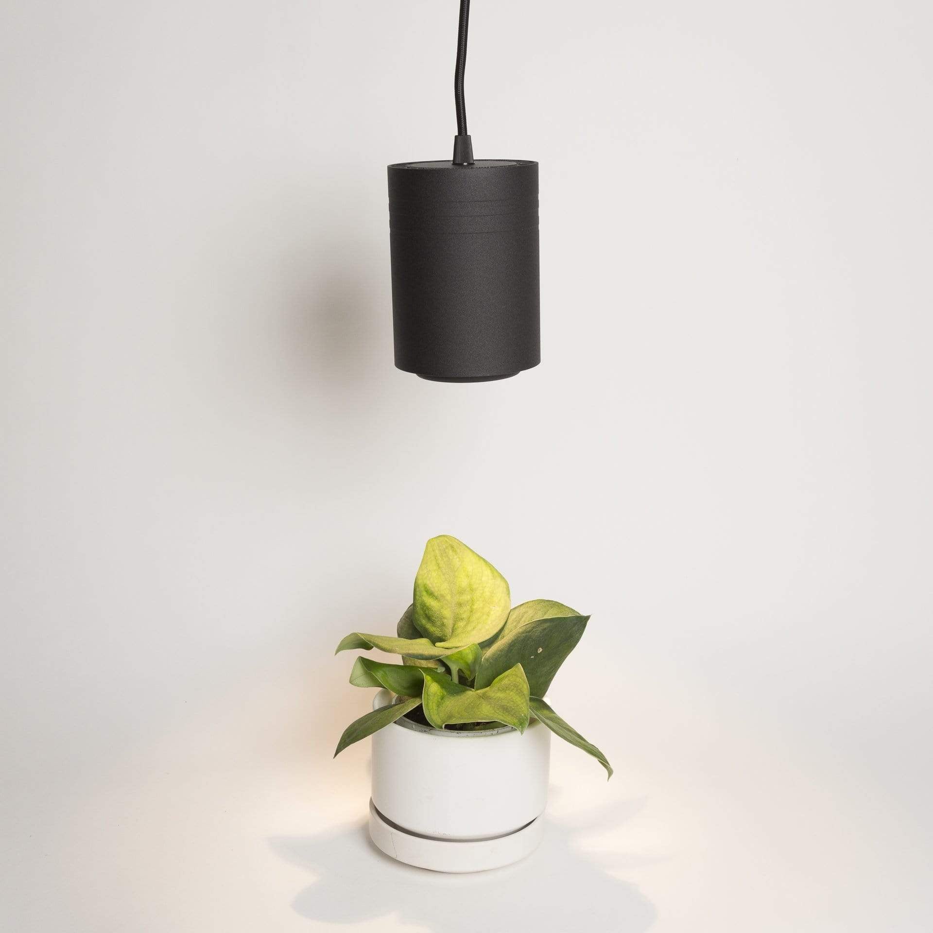 High Output Pendant Grow Light - Urban Sprouts