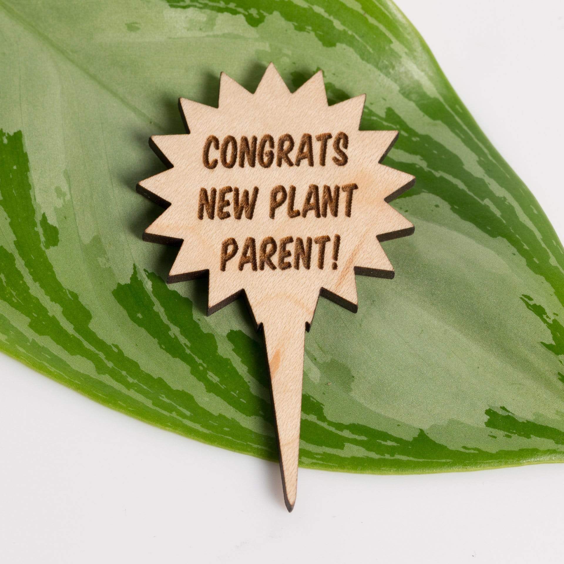 Urban Sprouts Production Prop Congrats new plant parent Mini Wood Sign