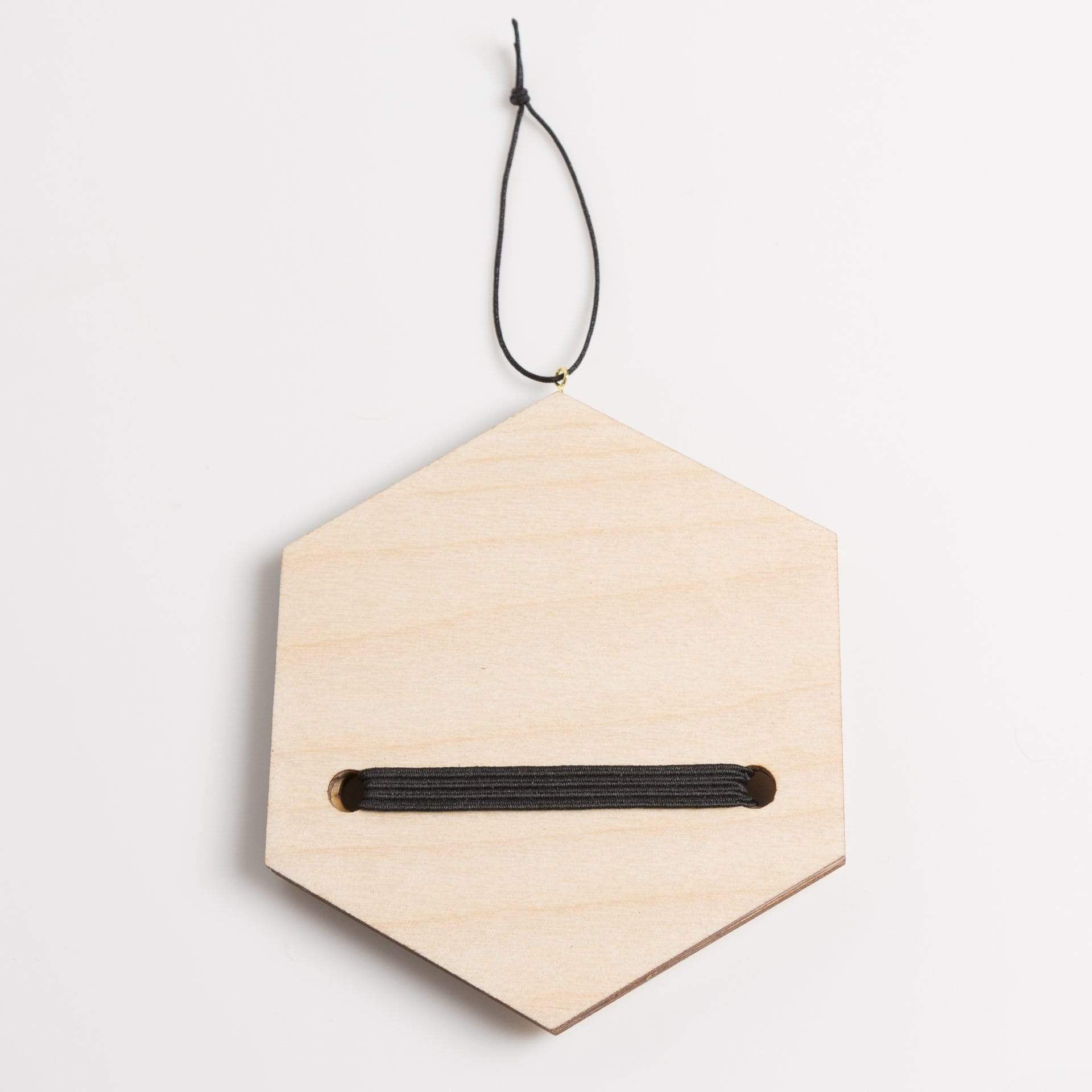 Urban Sprouts Pot Seatbelt Plaque Air Plant Holder
