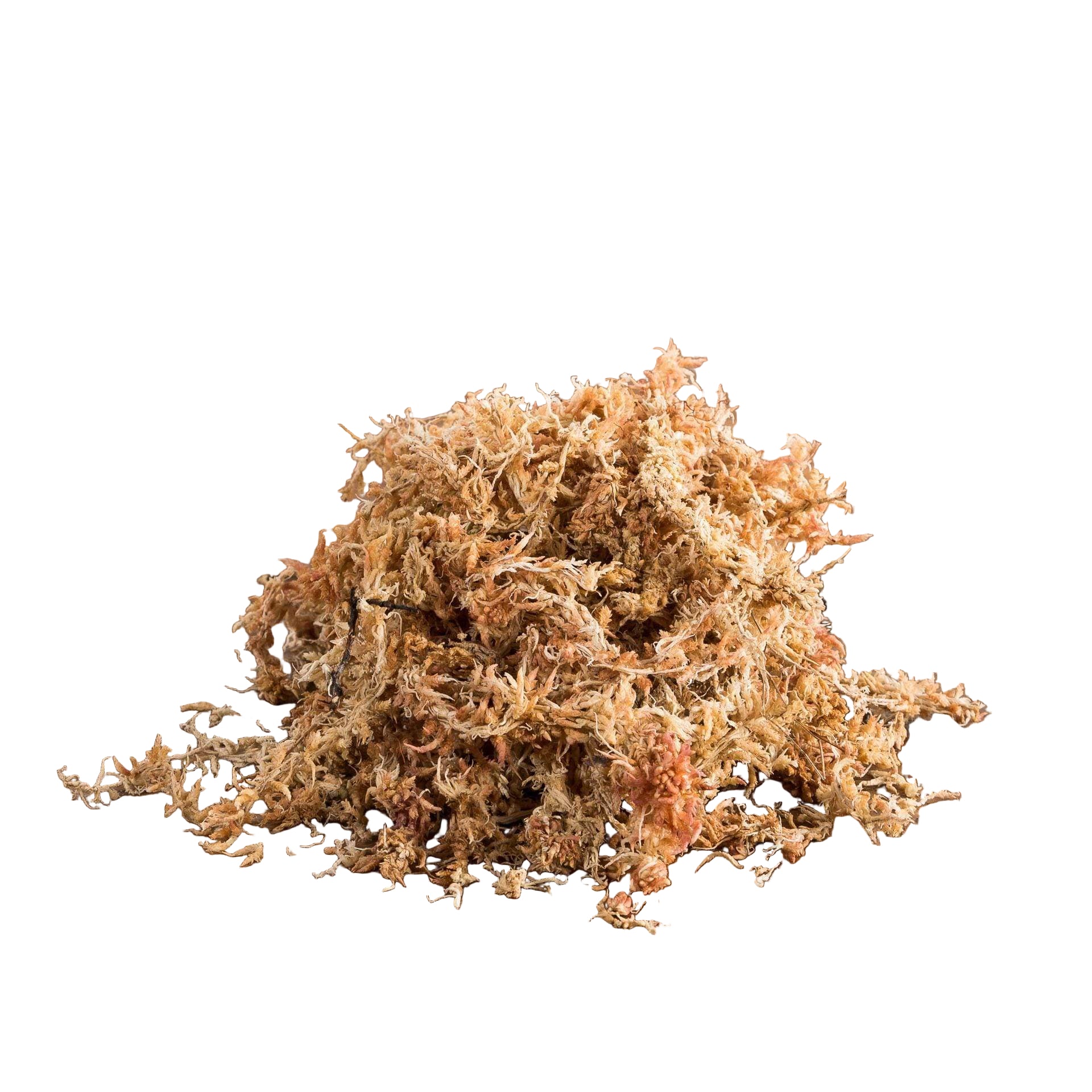 Urban Sprouts Substrate Sphagnum Moss