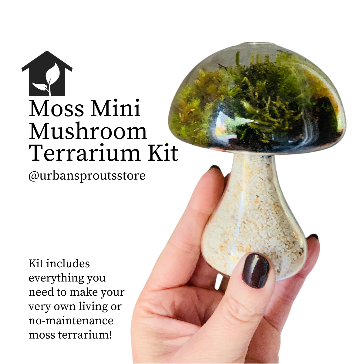 at donere kommentator uærlig Mushroom Terrarium Kit | Urban Sprouts