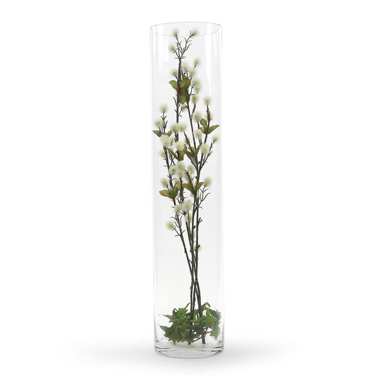 Extra Tall Cylindrical Terrarium Vase - Urban Sprouts