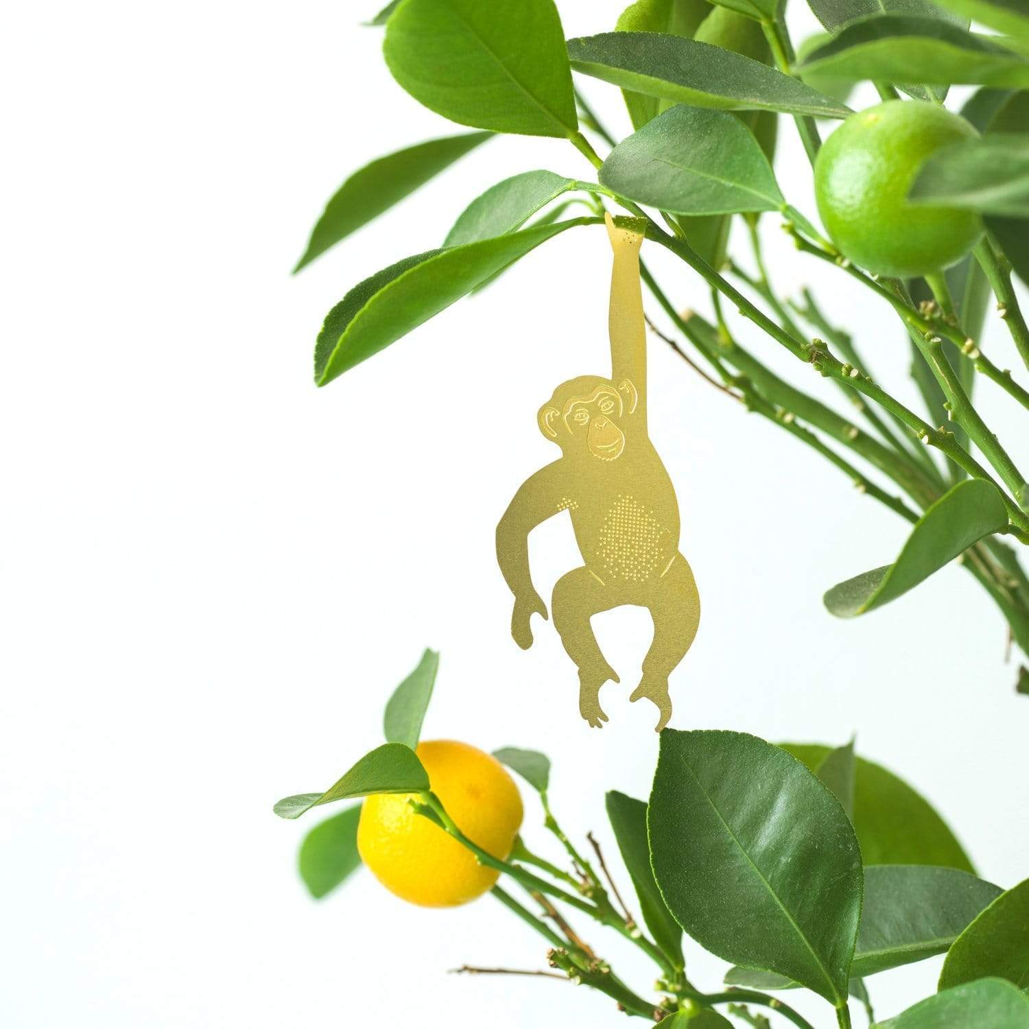 Another Studio for Design Ltd Plant Accessories Chimpanzee Foliage Friends