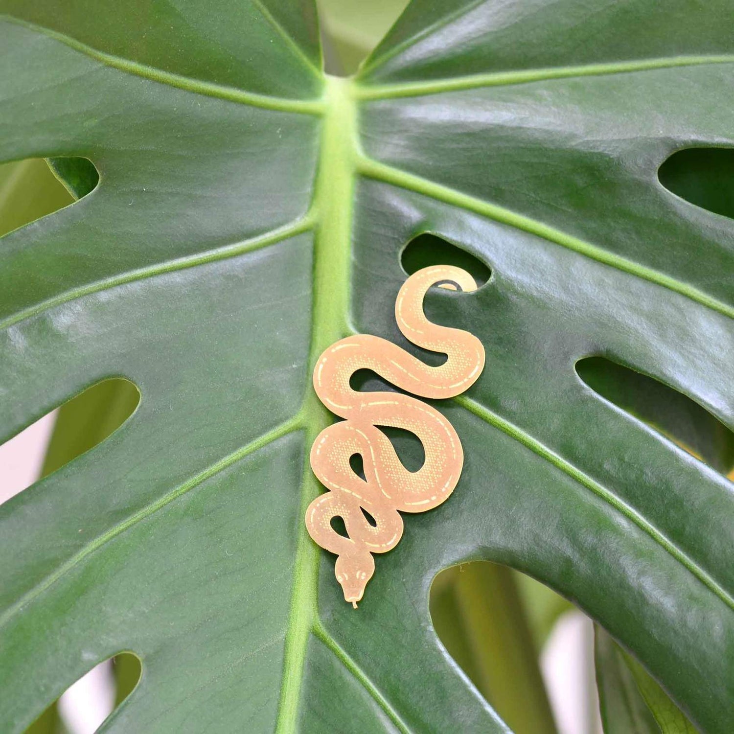Another Studio for Design Ltd Plant Accessories Snake Foliage Friends