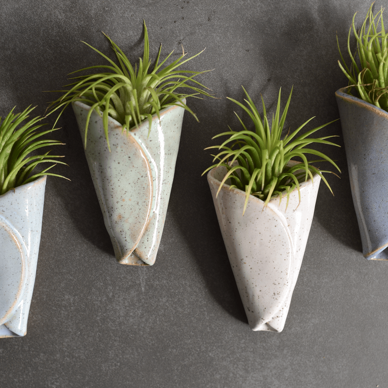 Air Plant Holder - CONE - Urban Sprouts