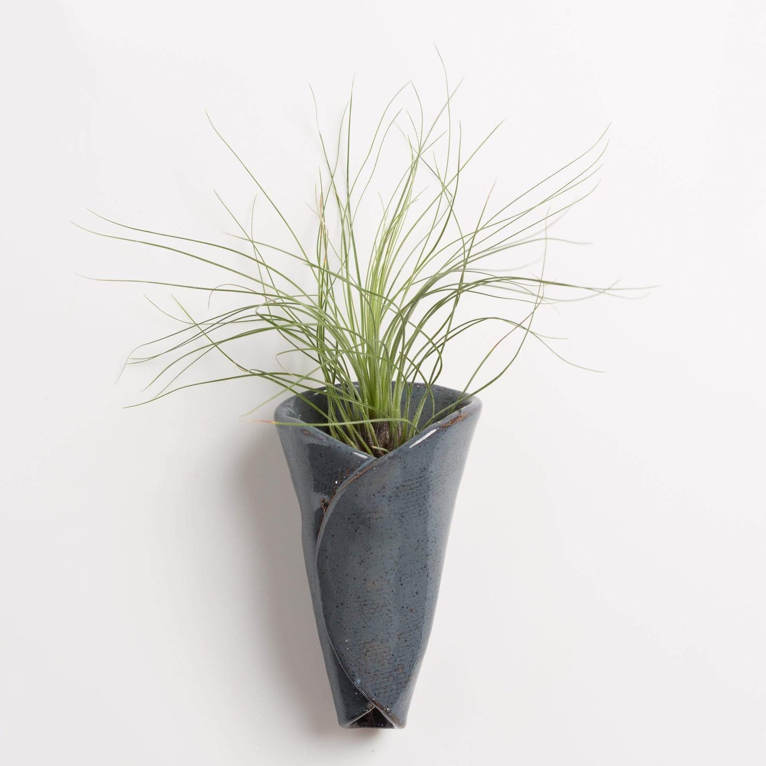 Mud & Maker Plant Accessories Air Plant Holder - CONE