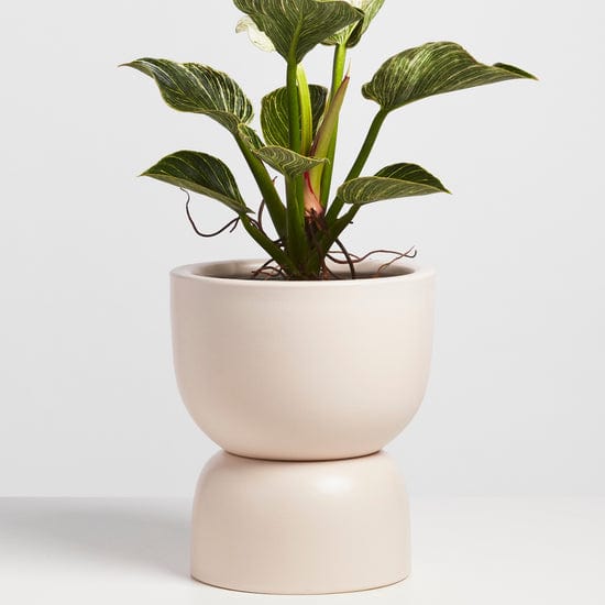 Peach & Pebble Pot 9" / Blush Hourglass Ceramic Planter Set