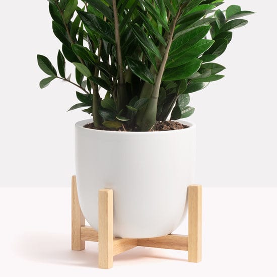 Peach & Pebble Stand Classic Low Rise Plant Stand