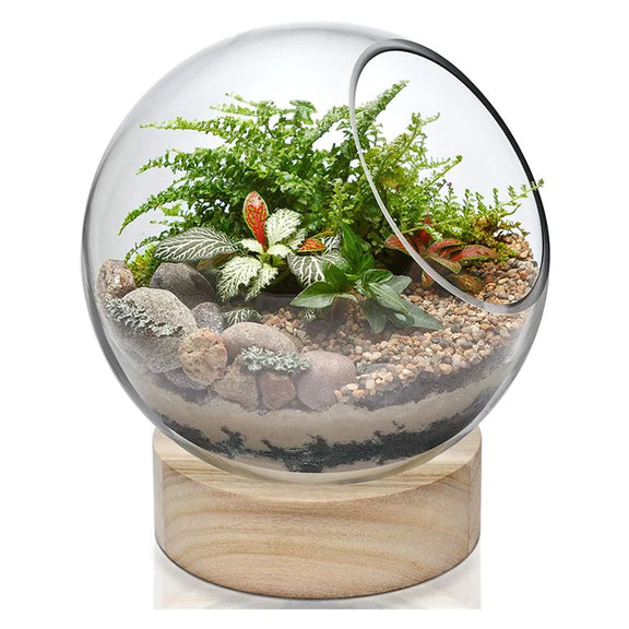 Glass Dome Terrarium - Urban Sprouts