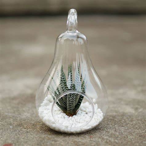 Pear Hanging Terrarium Glassware - Urban Sprouts