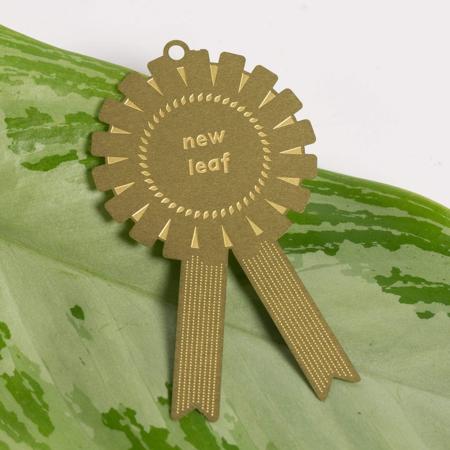 Urban Sprouts accessories New Leaf Plant Awards