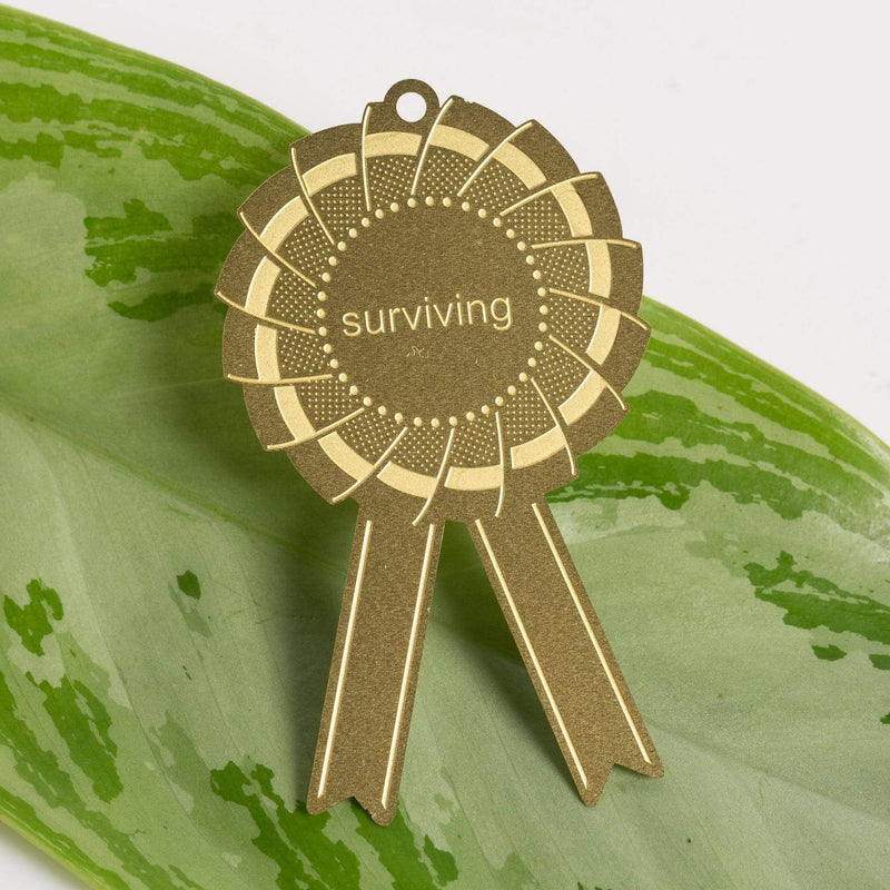 Urban Sprouts accessories Surviving Plant Awards