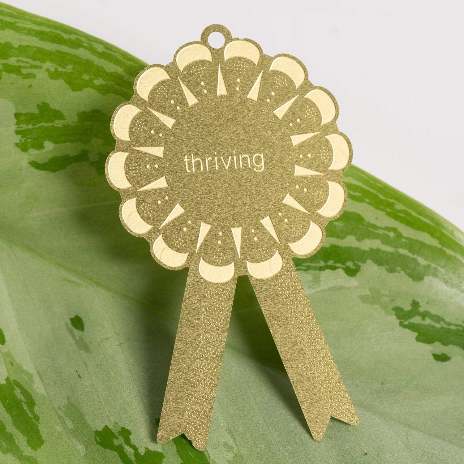 Urban Sprouts accessories Thriving Plant Awards