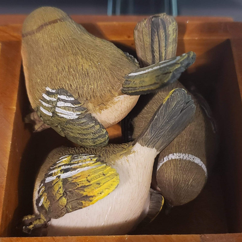 Bird - Urban Sprouts