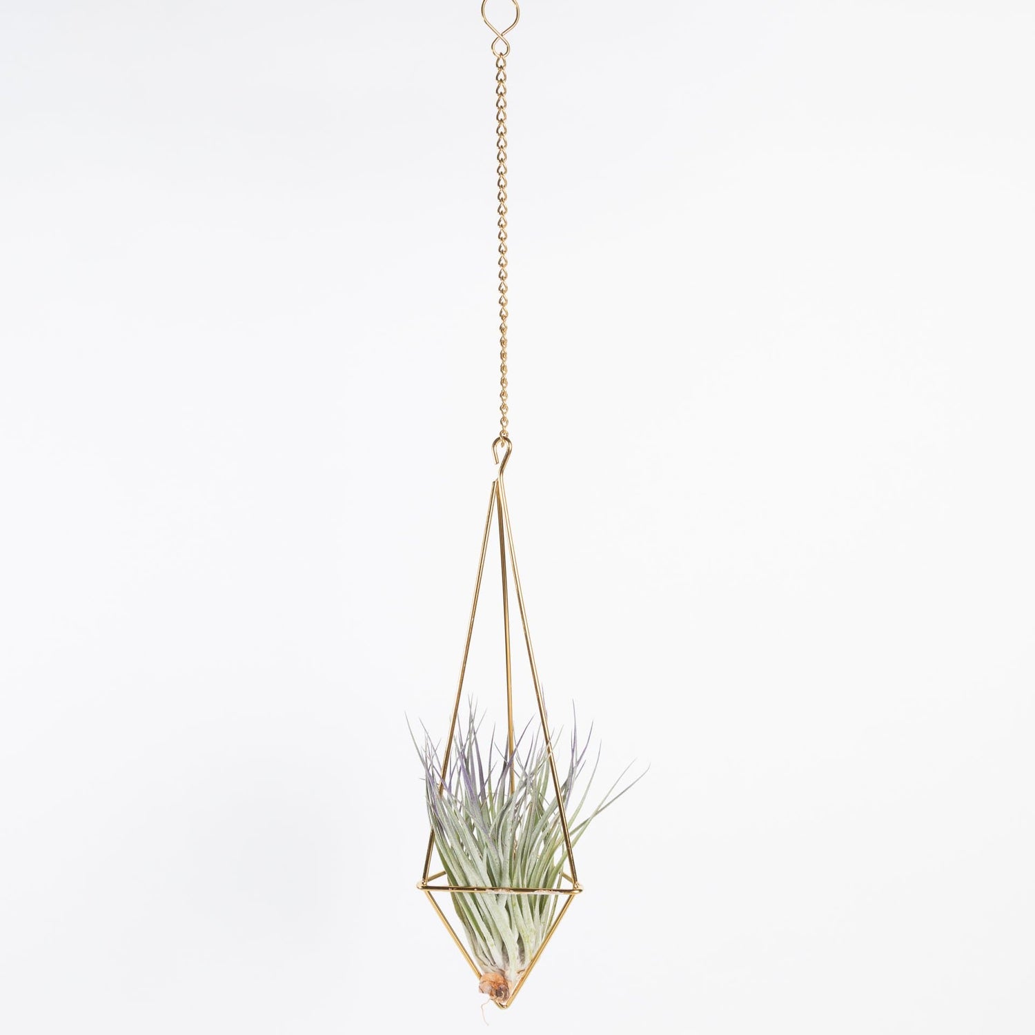 Urban Sprouts Geo Drop Air Plant Hanger