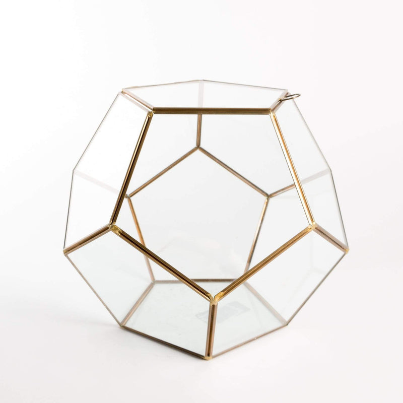 Urban Sprouts Glassware Fused Dodecahedron Faceted Glass Terrarium