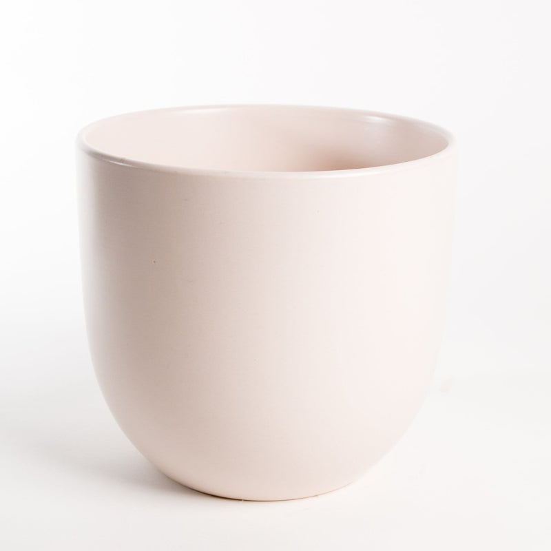 Urban Sprouts Pot 7" / blush Curve Ceramic Pot