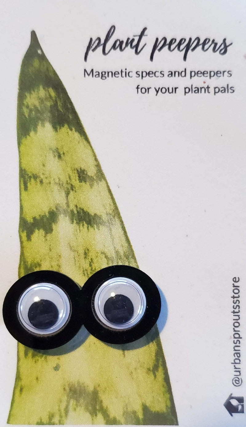 Urban Sprouts Production accessories Wiggle Eye / Black Plant Peepers - Magnetic accessories