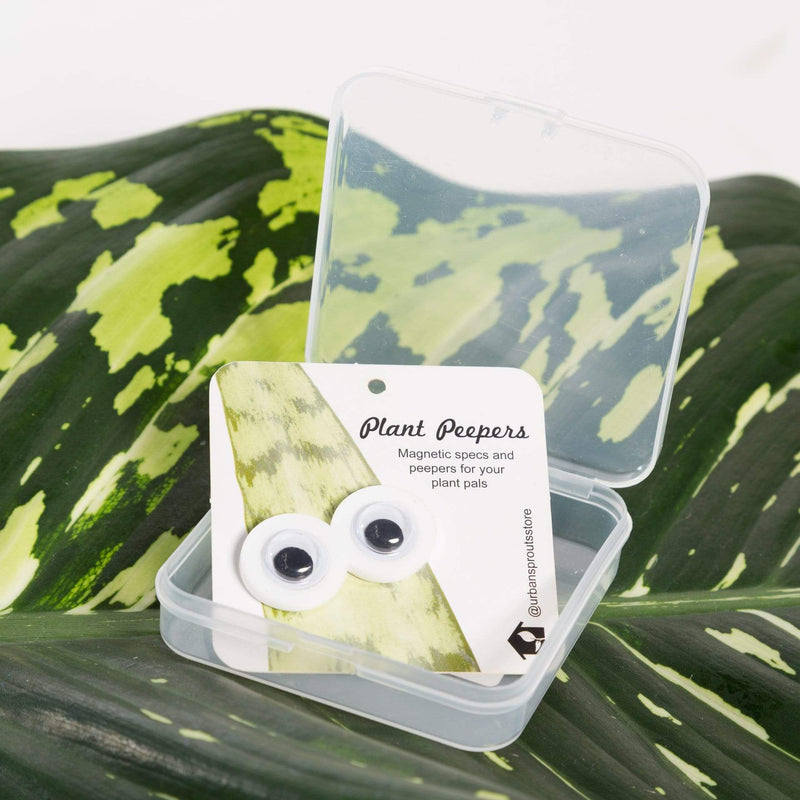 Urban Sprouts Production accessories Wiggle Eye / White Plant Peepers - Magnetic accessories