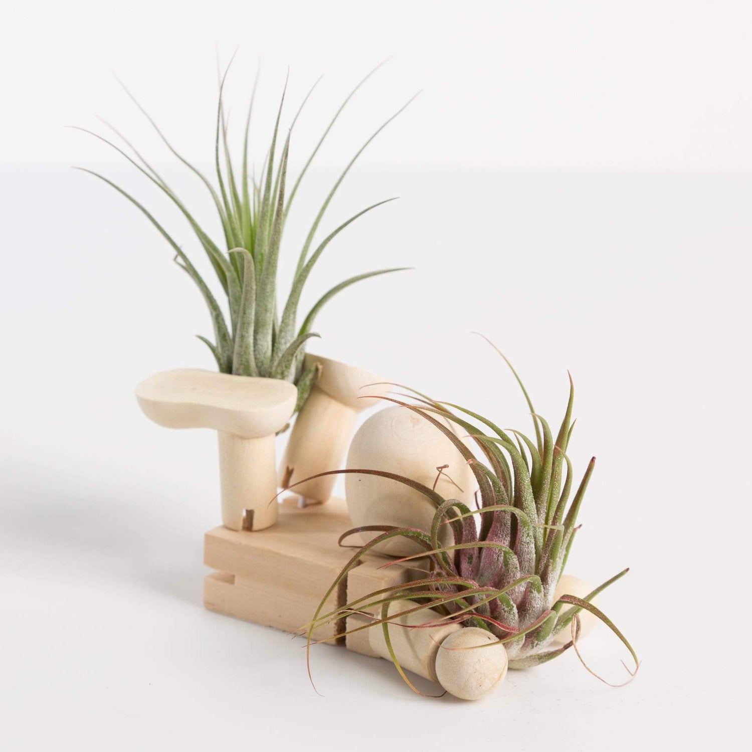 Urban Sprouts Production Pot Little Man Air Plant Holder