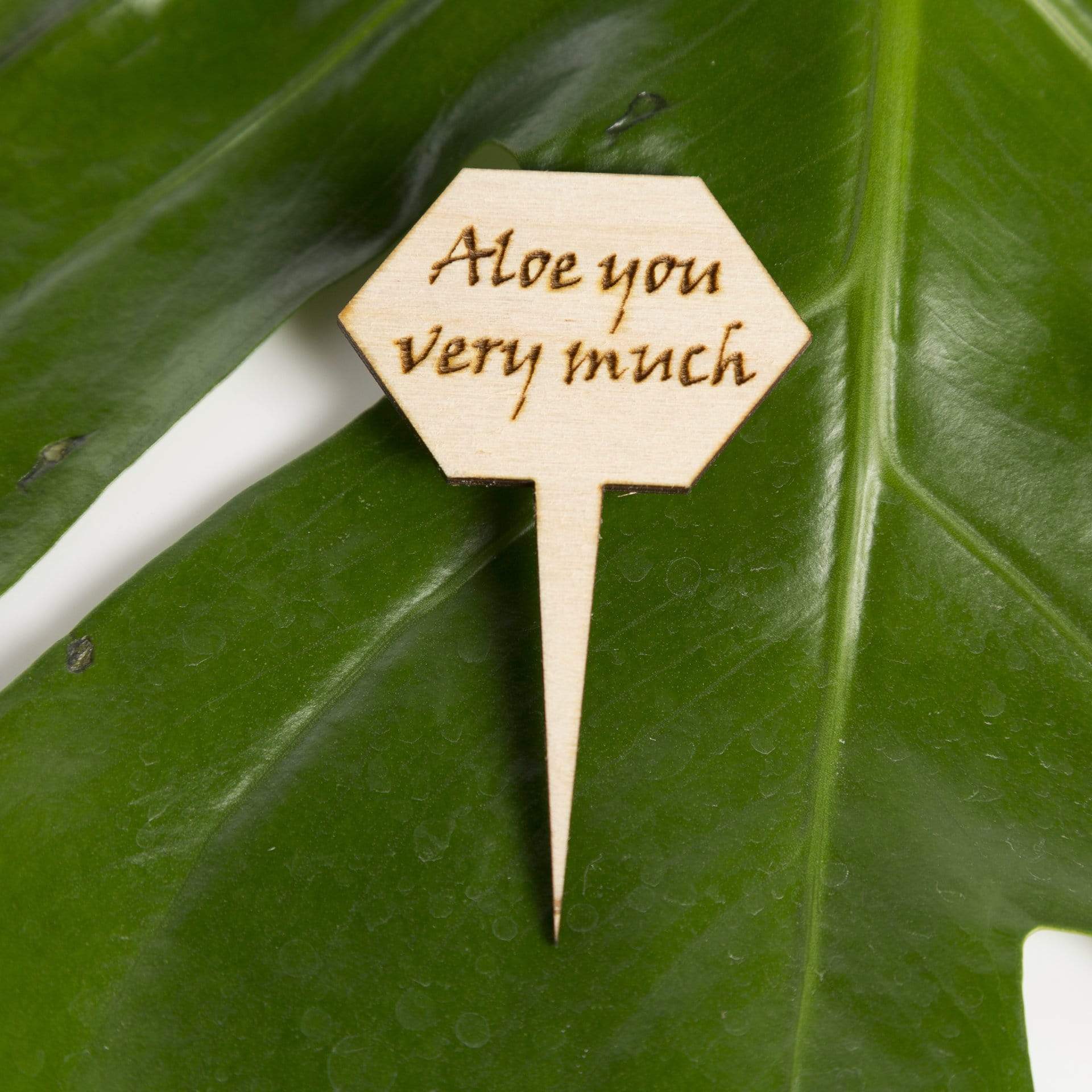 Urban Sprouts Production Prop Aloe you very much Mini Wood Sign