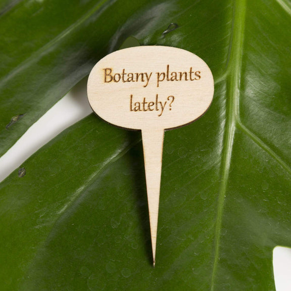 Urban Sprouts Production Prop Botany plants lately? Mini Wood Sign