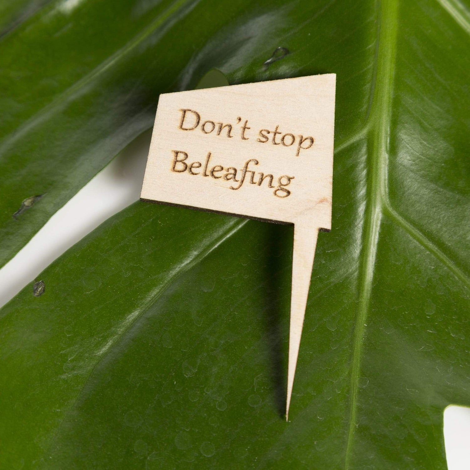 Urban Sprouts Production Prop Don't stop beleafing Mini Wood Sign