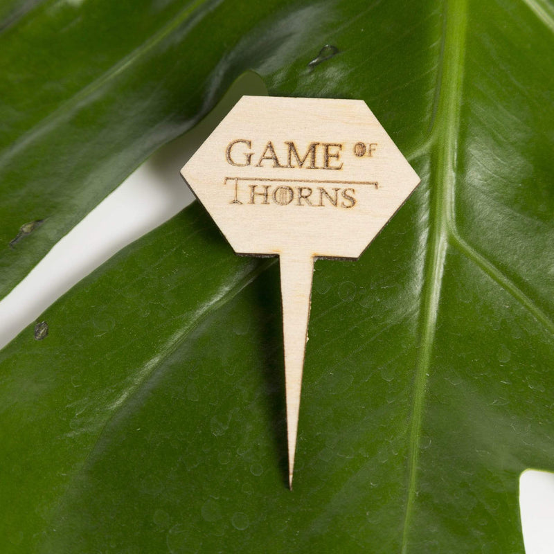 Urban Sprouts Production Prop Game of Thorns Mini Wood Sign