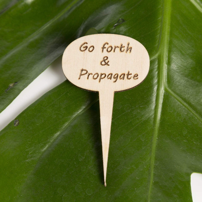 Urban Sprouts Production Prop Go forth and propagate Mini Wood Sign