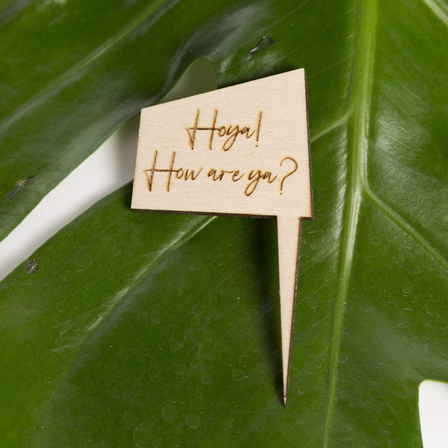 Urban Sprouts Production Prop Hoya! How are ya? Mini Wood Sign