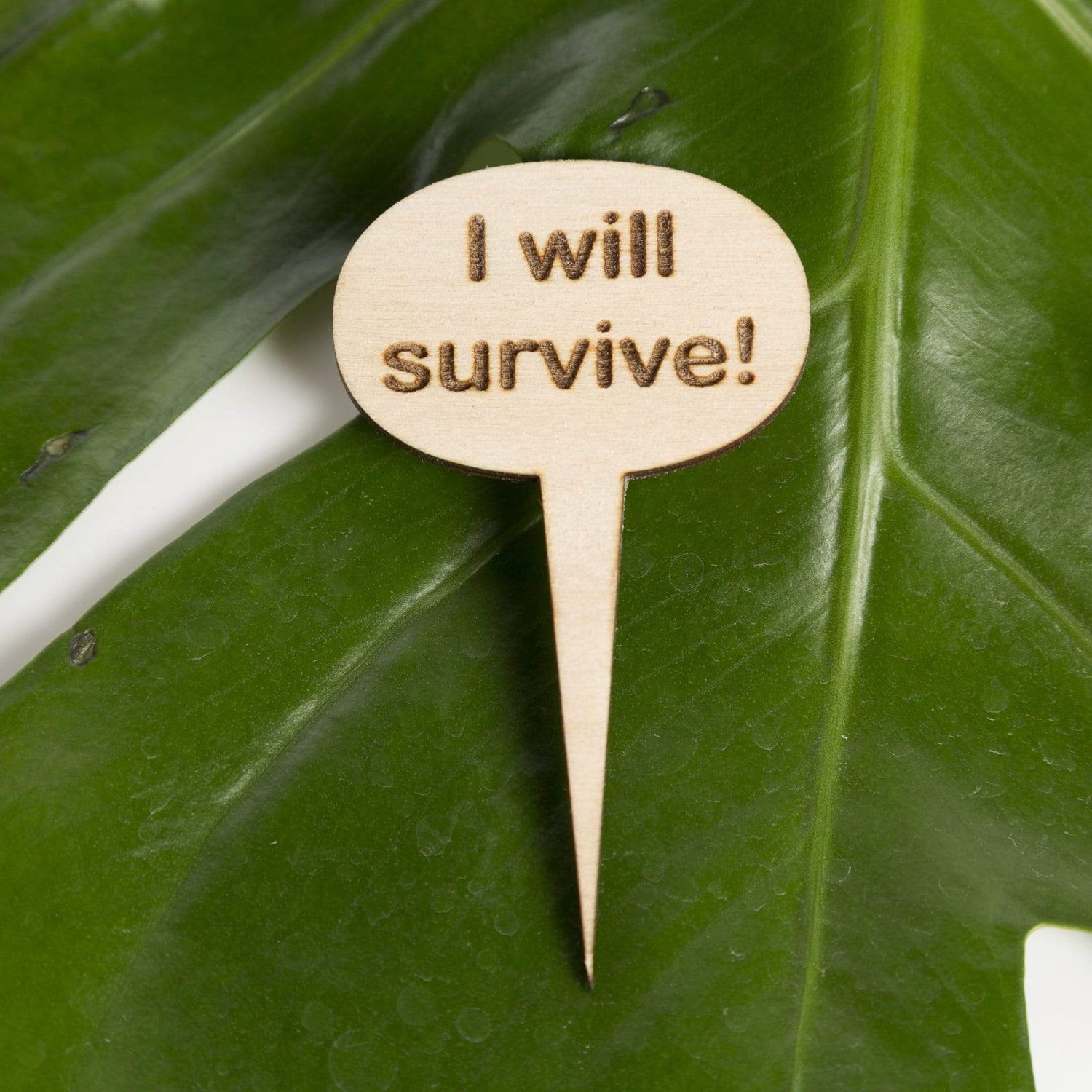 Urban Sprouts Production Prop I will survive Mini Wood Sign