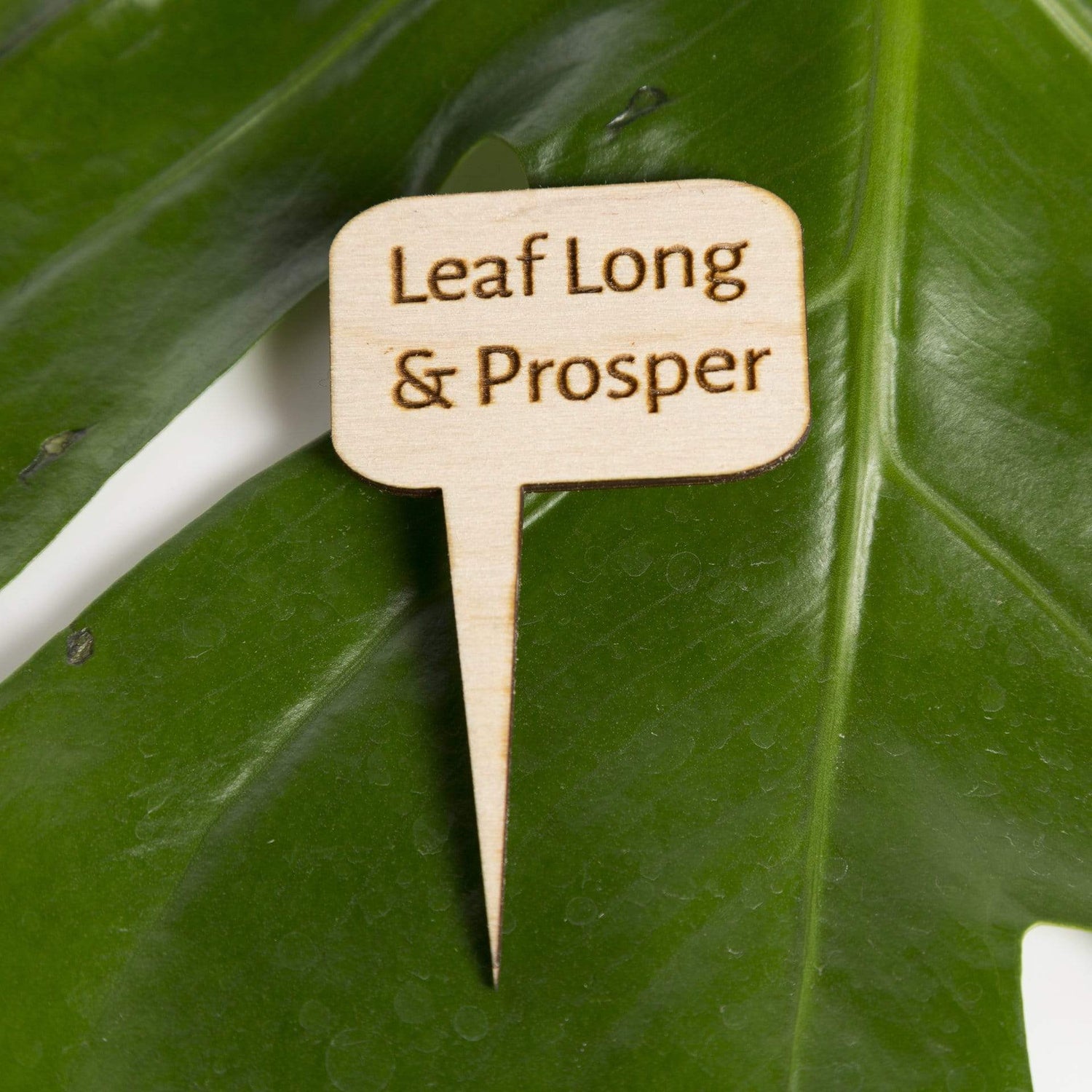 Urban Sprouts Production Prop Leaf long and prosper Mini Wood Sign