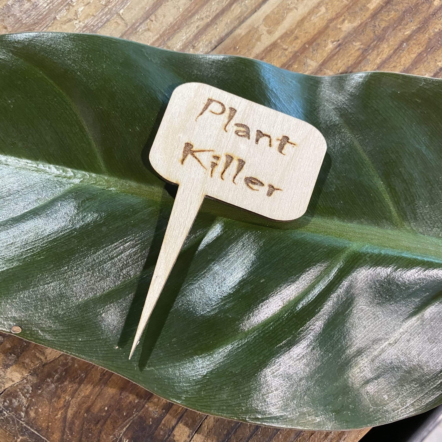 Urban Sprouts Production Prop Plant Killer Mini Wood Sign