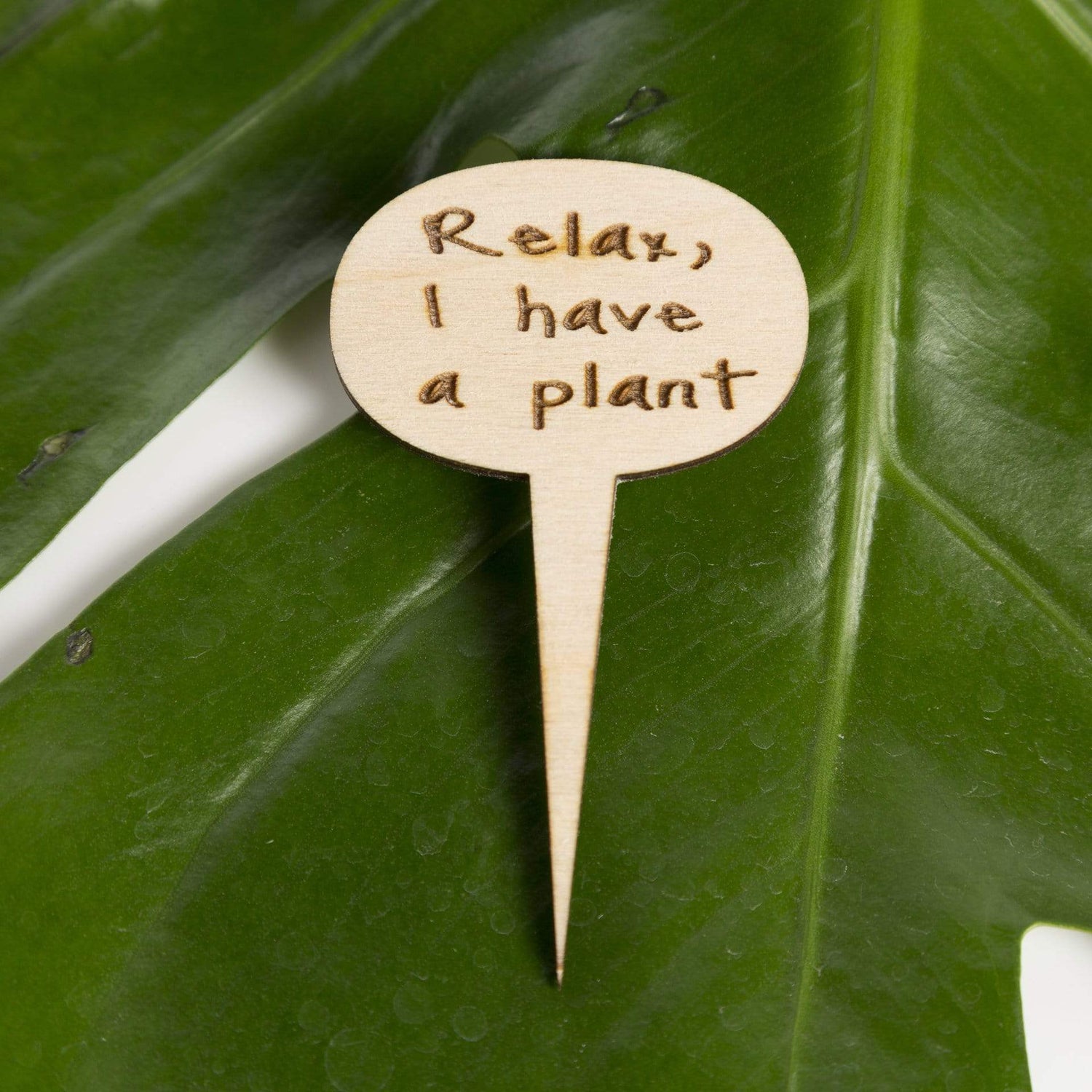 Urban Sprouts Production Prop Relax, I have a plant Mini Wood Sign