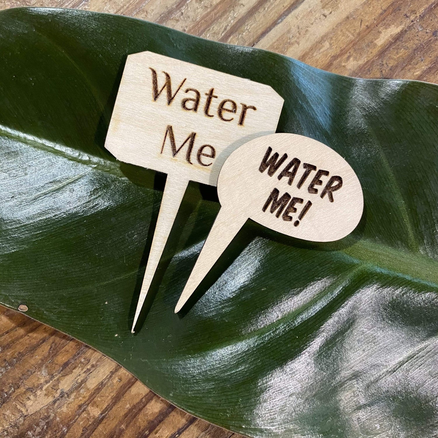 Urban Sprouts Production Prop Water Me Mini Wood Sign