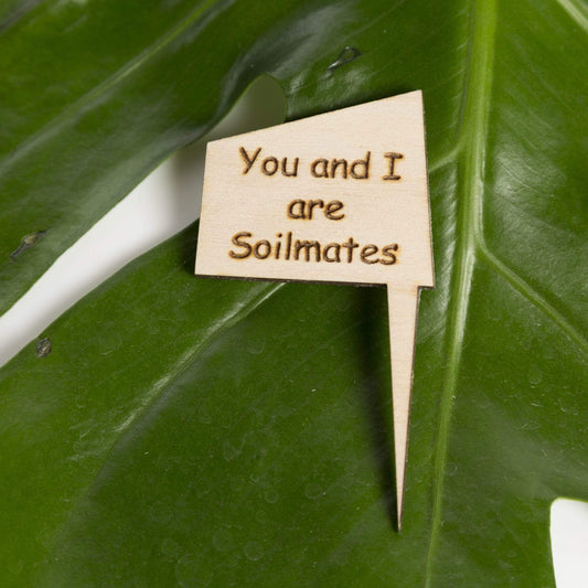 Urban Sprouts Production Prop You and I are soilmates Mini Wood Sign