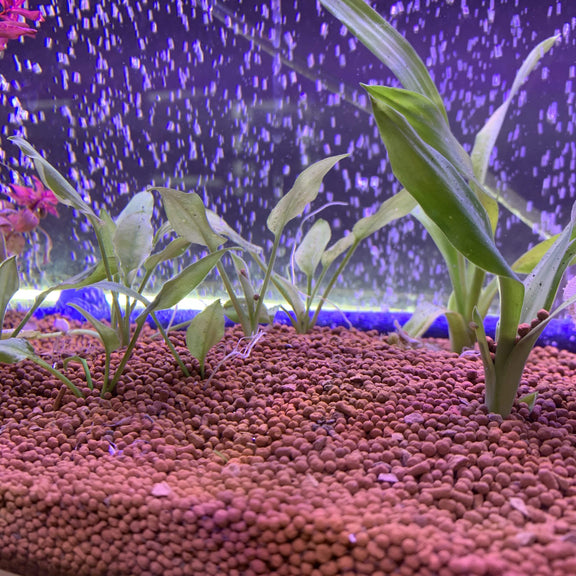 Aquatic Substrate - Urban Sprouts